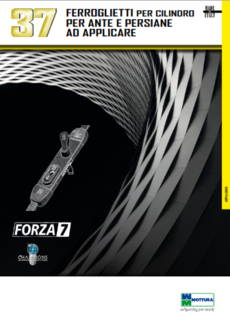 FORZA 7 SERIE 37